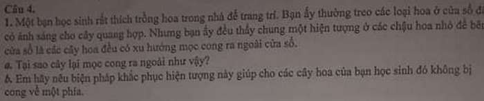 De thi hoc ki 1 nam 2020 THPT Tran Van Thanh lop 11 mon Sinh