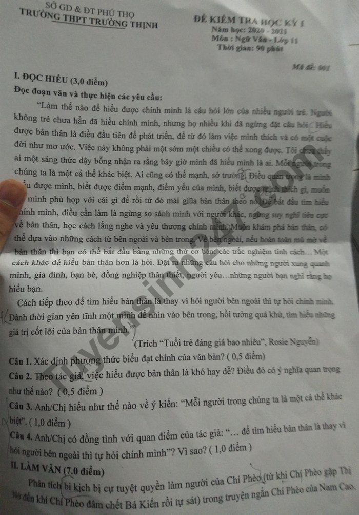 De thi hoc ki 1 nam 2020 THPT Truong Thinh lop 11 mon Van