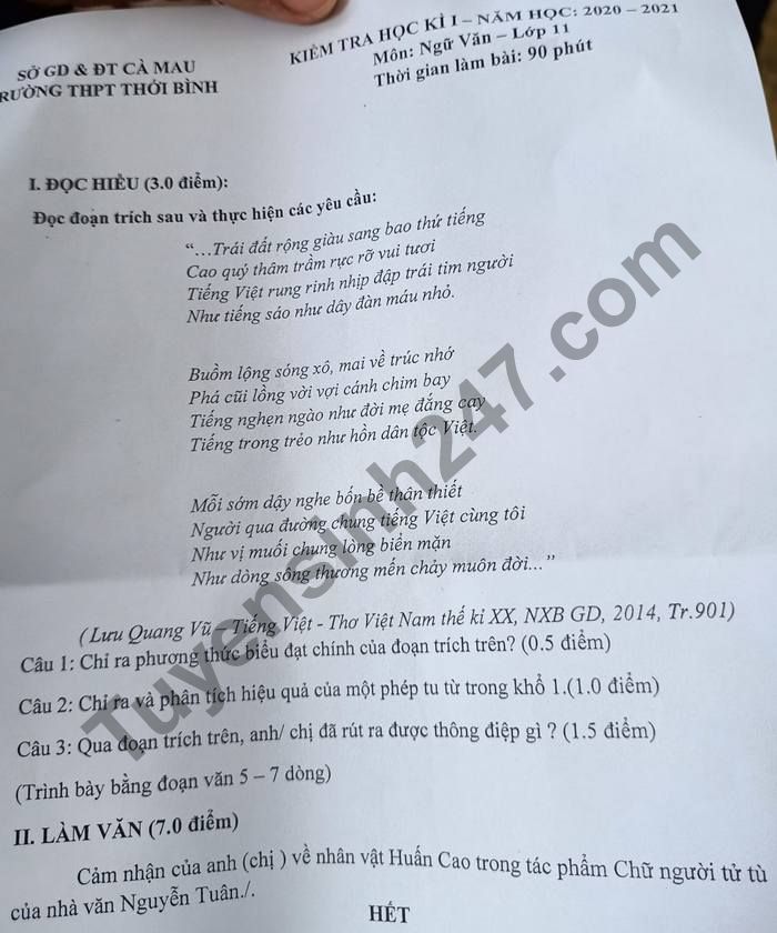 De thi hoc ki 1 lop 11 mon Van nam 2020 THPT Thoi Binh
