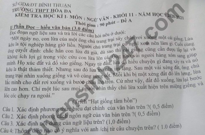 De thi hoc ki 1 mon Van lop 11 THPT Hoa Da nam 2020