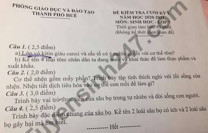 De thi hoc ki 1 nam 2020 Phong GD TP Hue mon Sinh lop 7