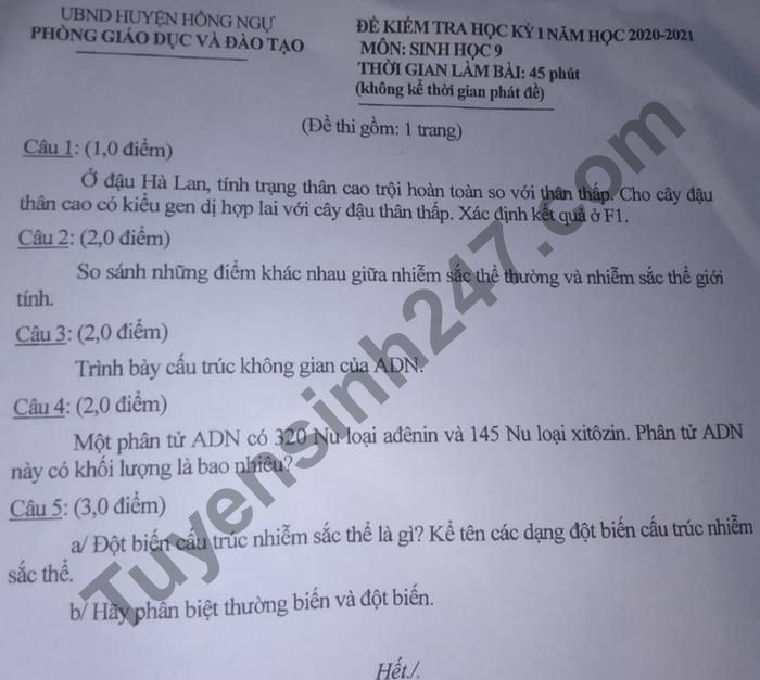De thi hoc ki 1 mon Sinh lop 9 huyen Hong Ngu 2020 - 2021