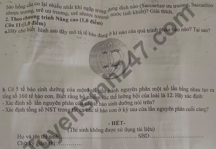 De thi hoc ki 1 nam 2020 THPT Hong Ngu 1 mon Sinh lop 10