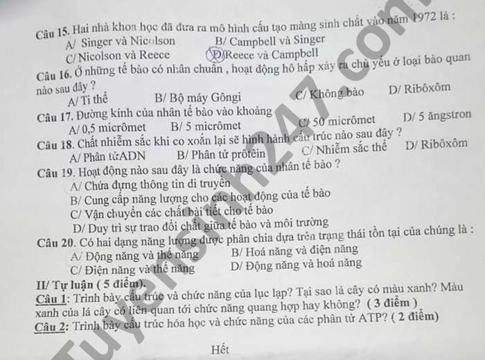 De thi hoc ki 1 nam 2020 THPT Dai An mon Sinh lop 10