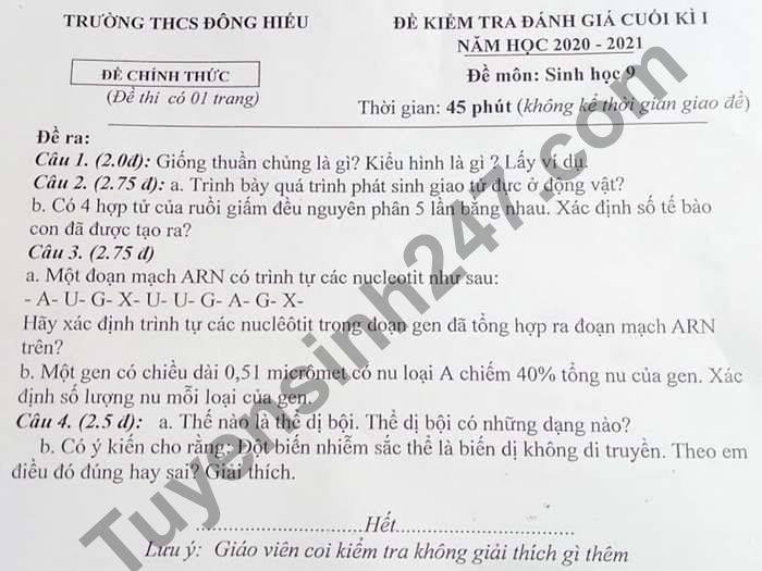De thi hoc ki 1 mon Sinh lop 9 THCS Dong Hieu nam 2020