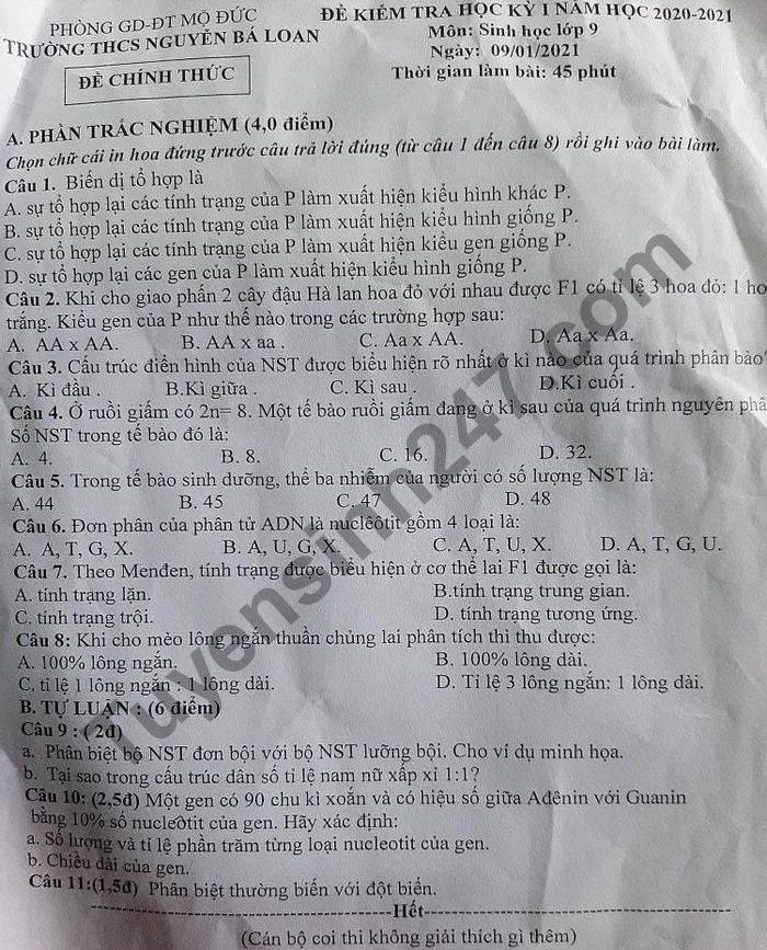 De thi hoc ki 1 lop 9 mon Sinh THCS Nguyen Ba Loan nam 2020