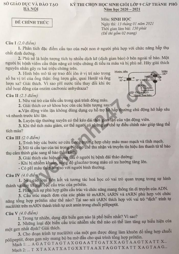 De thi chon hoc sinh gioi lop 9 cap TP 2021 mon Sinh - So GD Ha Noi