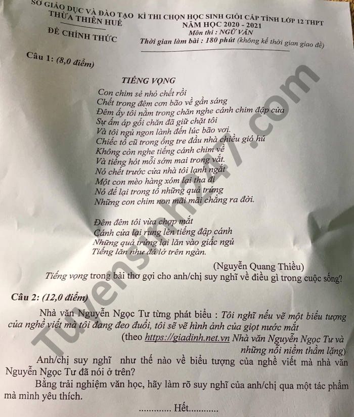 De thi chon hoc sinh gioi cap tinh Van lop 12 tinh Thua Thien Hue 2021