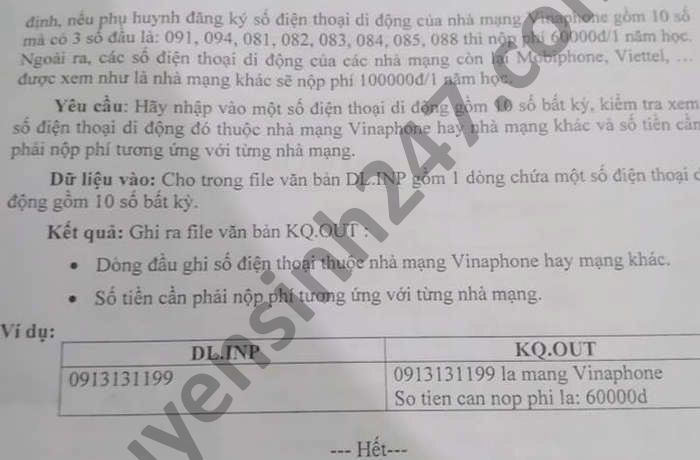 De thi chon hoc sinh gioi lop 9 cap huyen 2021 mon Tin huyen Can Giuoc