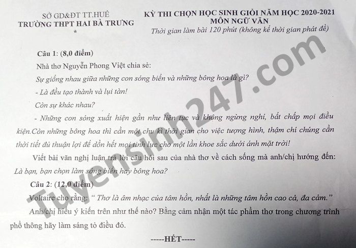 De thi chon hoc sinh gioi nam 2021 mon Van THPT Hai Ba Trung