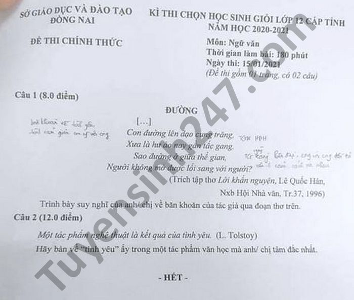 De thi hoc sinh gioi cap Tinh mon Van lop 12 tinh Dong Nai nam 2021