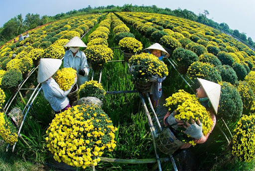 Tu vi 12 cung hoang dao thu Sau ngay 29/1/2021