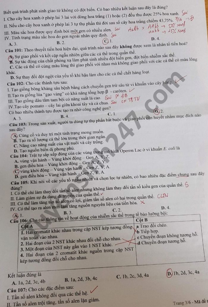 De thi thu tot nghiep THPT 2021 mon Sinh cum truong THPT TP Vung Tau lan 1