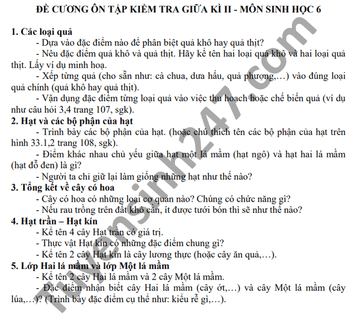 De cuong on tap giua hoc ki 2 THCS Thuong Phuoc 1 Sinh lop 6 2021