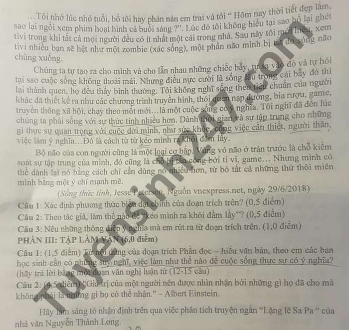 De thi giua ki 2 nam 2021 huyen Hai Hau mon Van lop 9