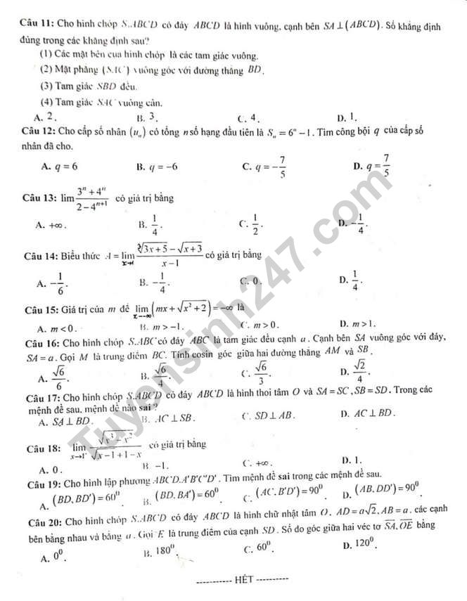 De thi giua ki 2 mon Toan lop 11 - THPT Tran Hung Dao 2021