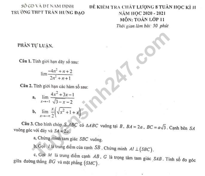 De thi giua ki 2 mon Toan lop 11 - THPT Tran Hung Dao 2021