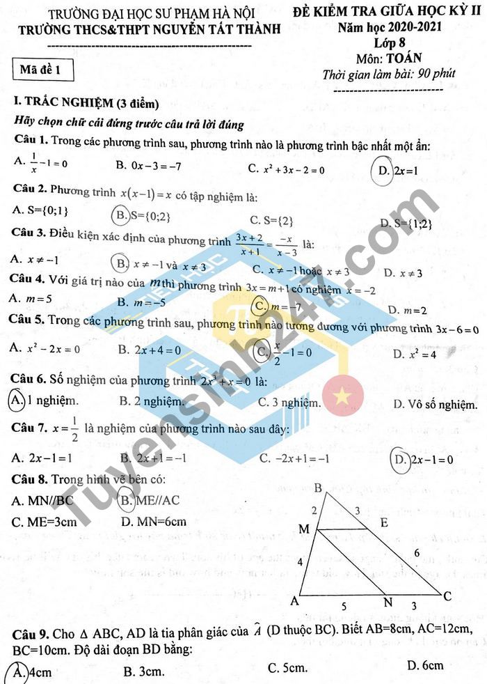 De thi giua ki 2 lop 8 mon Toan THCS&THPT Nguyen Tat Thanh 2021