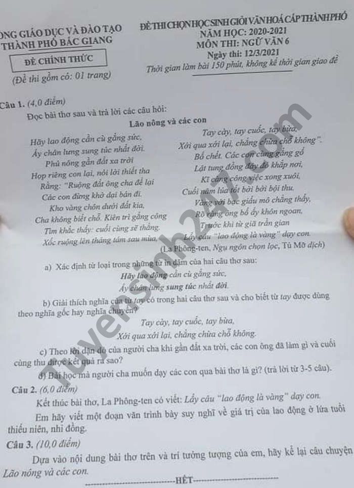 De thi hoc sinh gioi cap thanh pho Van lop 6 TP Bac Giang 2021