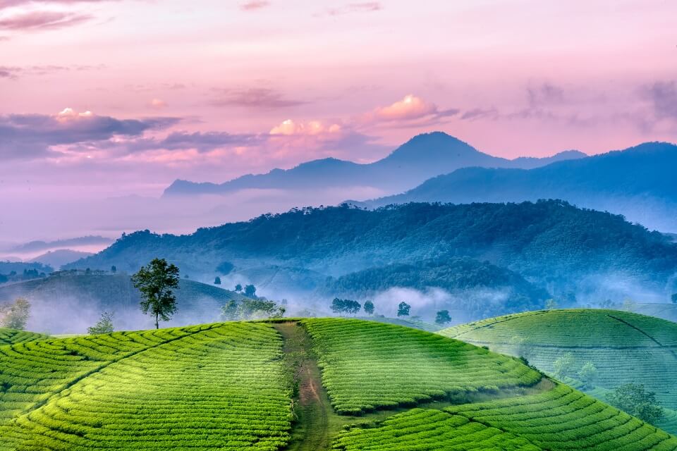 Tu vi 12 cung hoang dao thu Bay ngay 13/3/2021