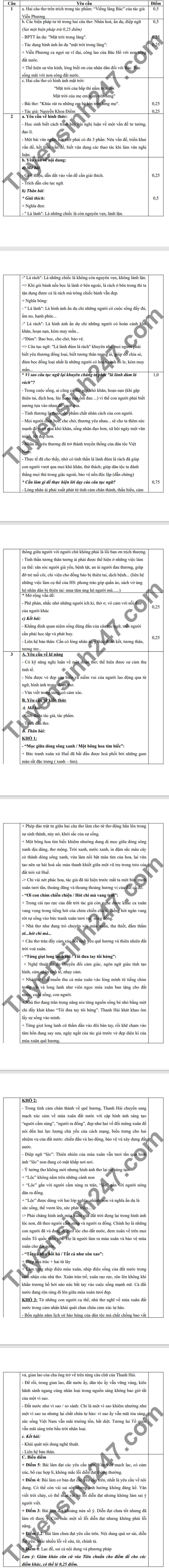 De thi giua hoc ki 2 mon Van lop 9 - Binh Giang 2021