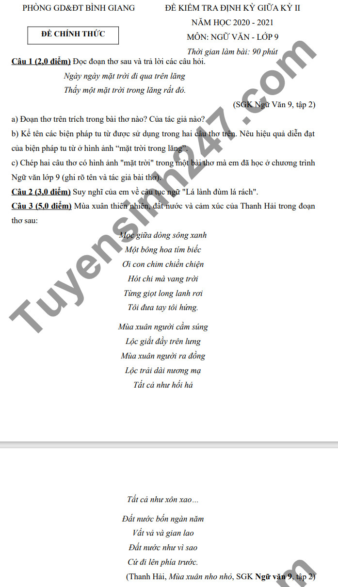 De thi giua hoc ki 2 mon Van lop 9 - Binh Giang 2021