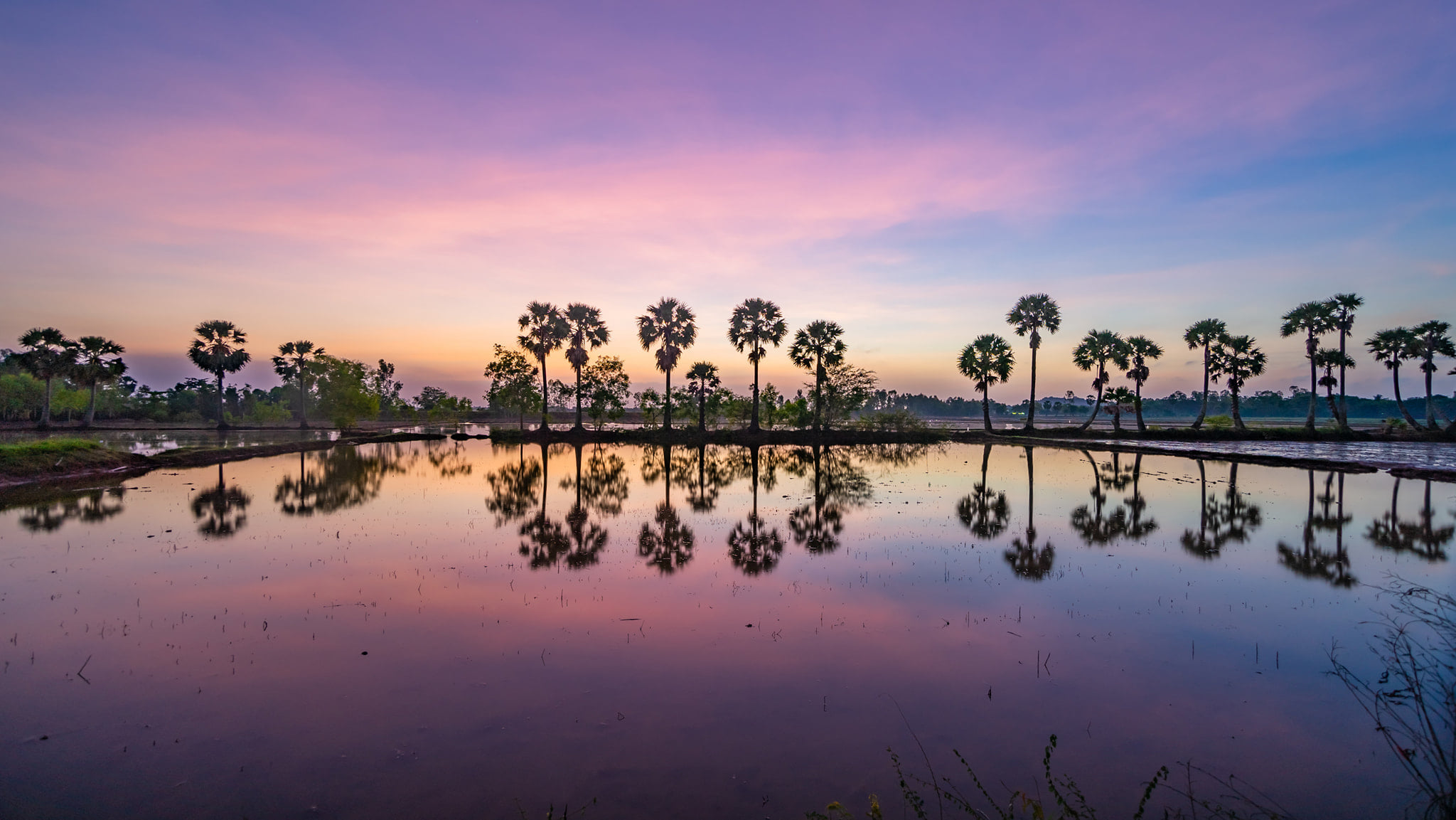 Tu vi 12 cung hoang dao thu Nam ngay 15/4/2021