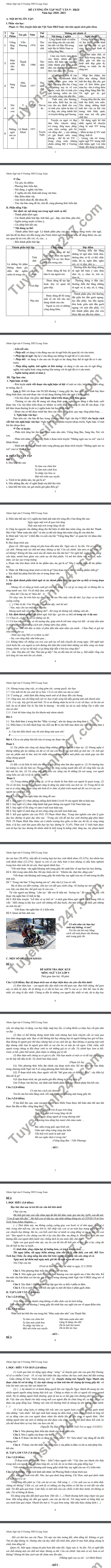 De cuong on tap lop 9 ki 2 THCS Long Toan mon Van nam 2021
