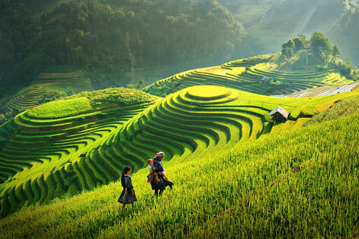 Tu vi 12 cung hoang dao thu Nam ngay 22/4/2021