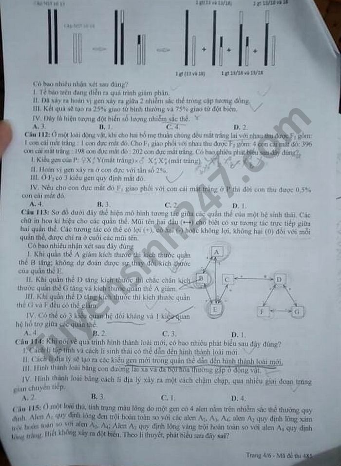 De thi thu tot nghiep THPT 2021 lan 2 THPT chuyen DH Vinh mon Sinh