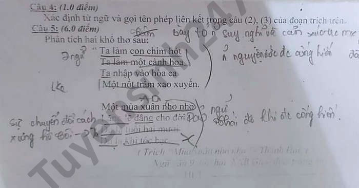 De thi hoc ki 2 mon Van lop 9 THCS Long An nam 2021