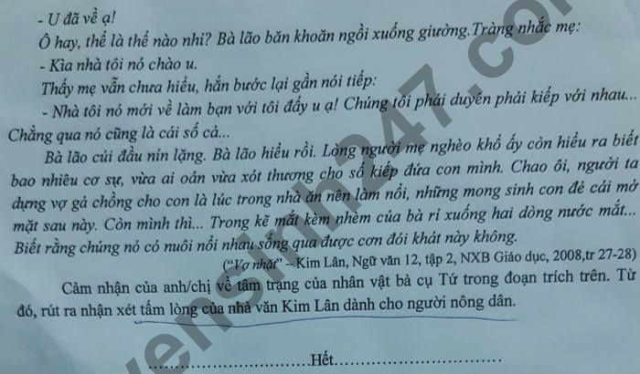 De thi hoc ki 2 lop 12 mon Van - So GD Binh Phuoc 2021