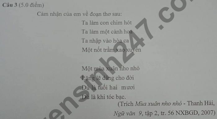 De thi cuoi ki 2 nam 2021 THCS Phong Hai lop 9 mon Van