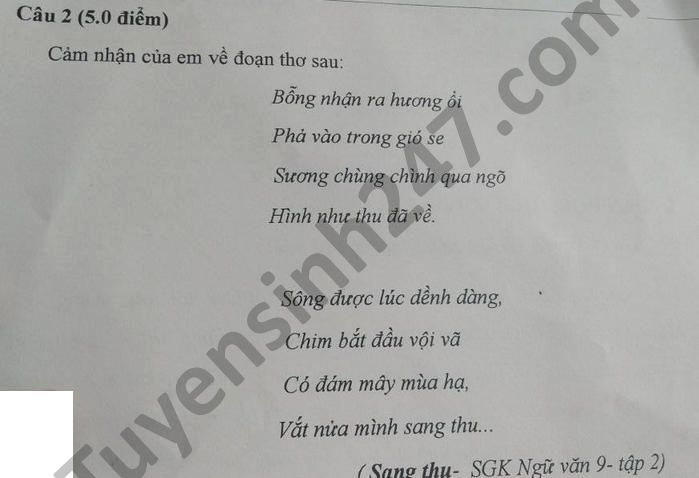 De thi hoc ki 2 THCS Tran Quoc Toan nam 2021 mon Van lop 9