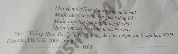 De thi hoc ki 2 mon Van lop 9 THCS Tan Hoa Thanh nam 2021