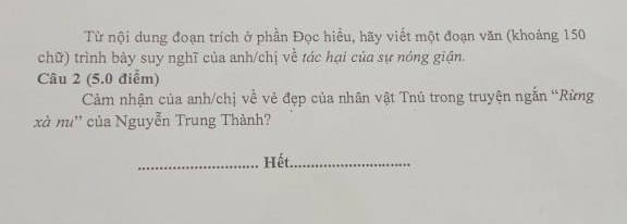De thi ki 2 lop 12 mon Van - THPT Muong Lam 2021