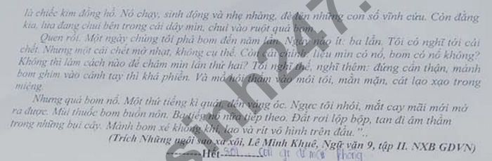 De thi hoc ki 2 mon Van lop 9 - THCS xa Vien An Dong 2021
