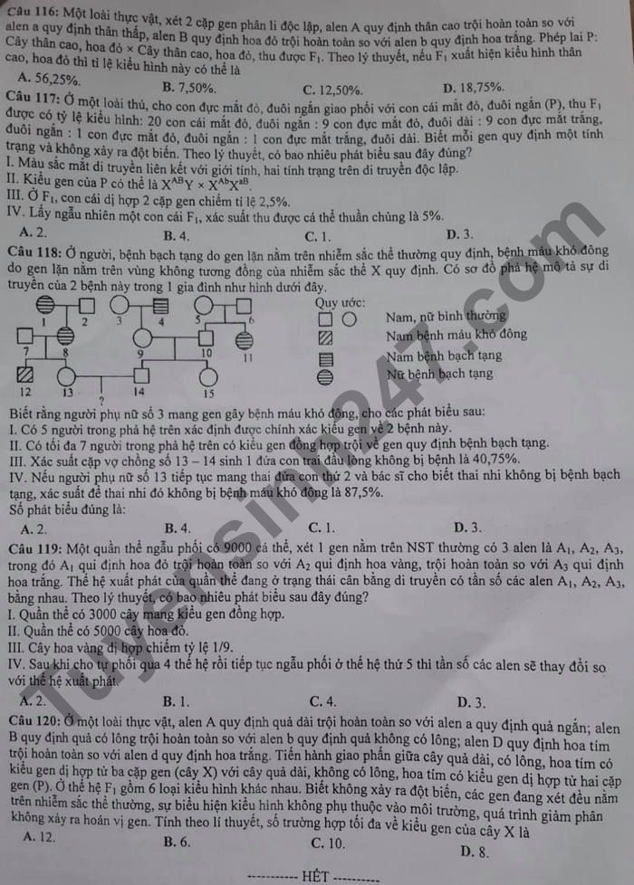 De thi thu tot nghiep THPT mon Sinh 2021 Cum chuyen mon 01 - Bac Lieu lan 3