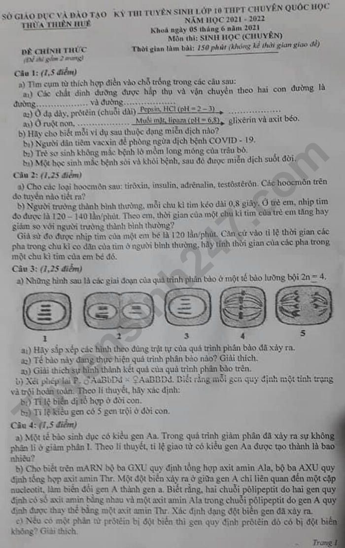 De thi vao lop 10 mon Sinh chuyen - THPT Chuyen Quoc Hoc Hue 2021
