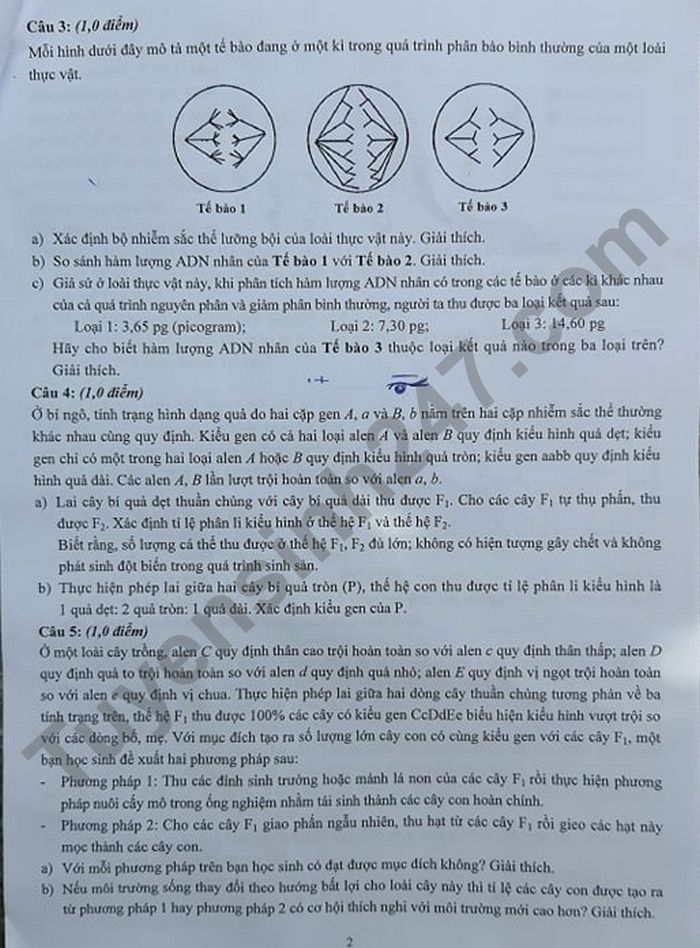 De thi vao lop 10 THPT Chuyen KHTN mon Sinh 2021