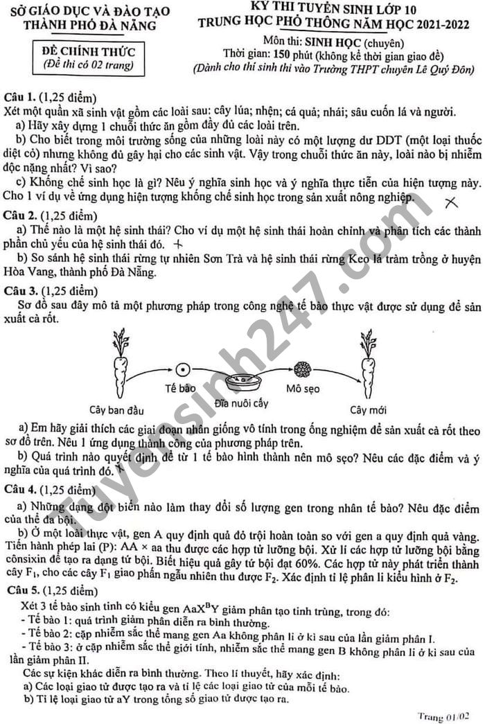 De thi vao lop 10 nam 2021 mon Sinh chuyen - TP Da Nang