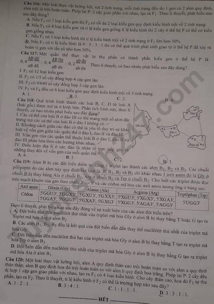 Dap an de thi mon Sinh tot nghiep THPT 2021 ma de 213