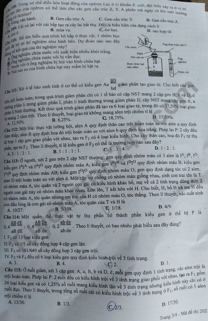 Dap an de thi tot nghiep THPT 2021 - mon Sinh ma de 202