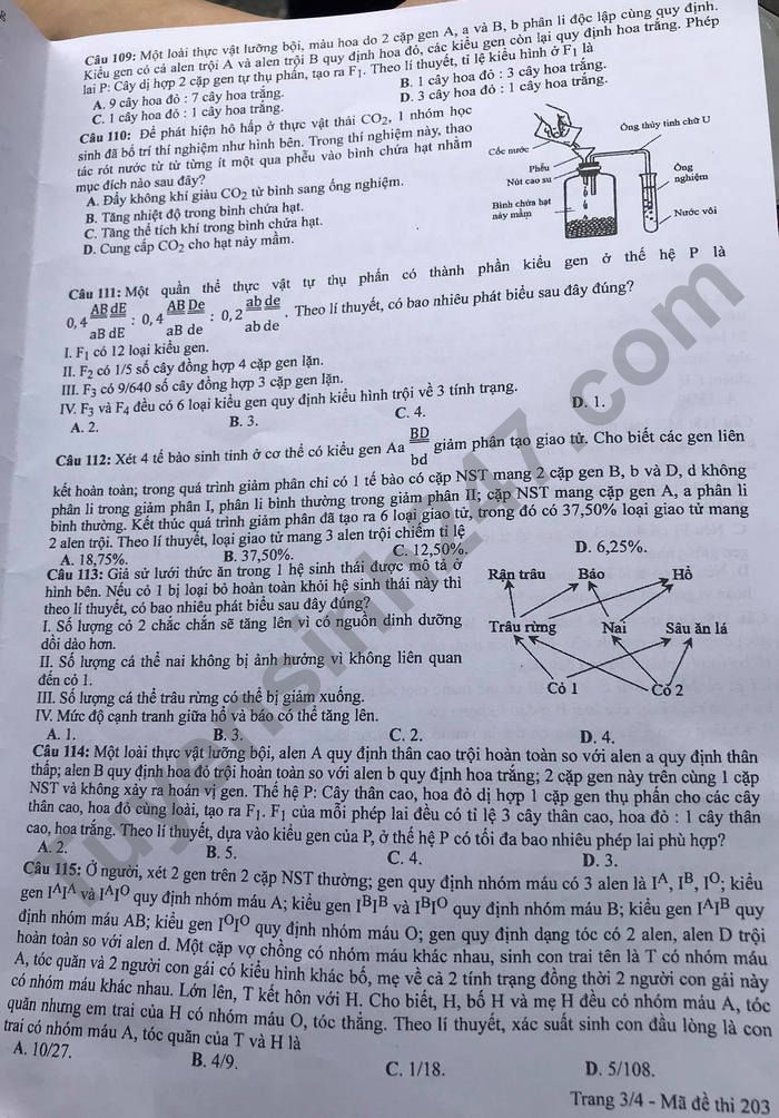Dap an de thi tot nghiep THPT 2021 - ma de 210 mon Sinh
