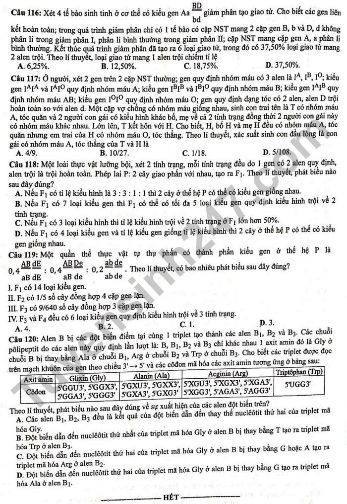 Dap an de thi tot nghiep THPT mon Sinh 2021 - Ma de 222