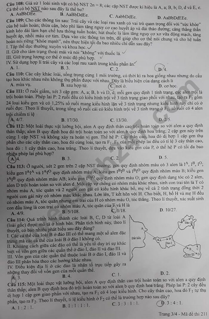 Dap an de thi mon Sinh - ma de 211 tot nghiep THPT 2021