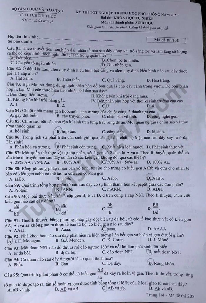 Dap an mon Sinh ma de 205 thi tot nghiep THPT 2021