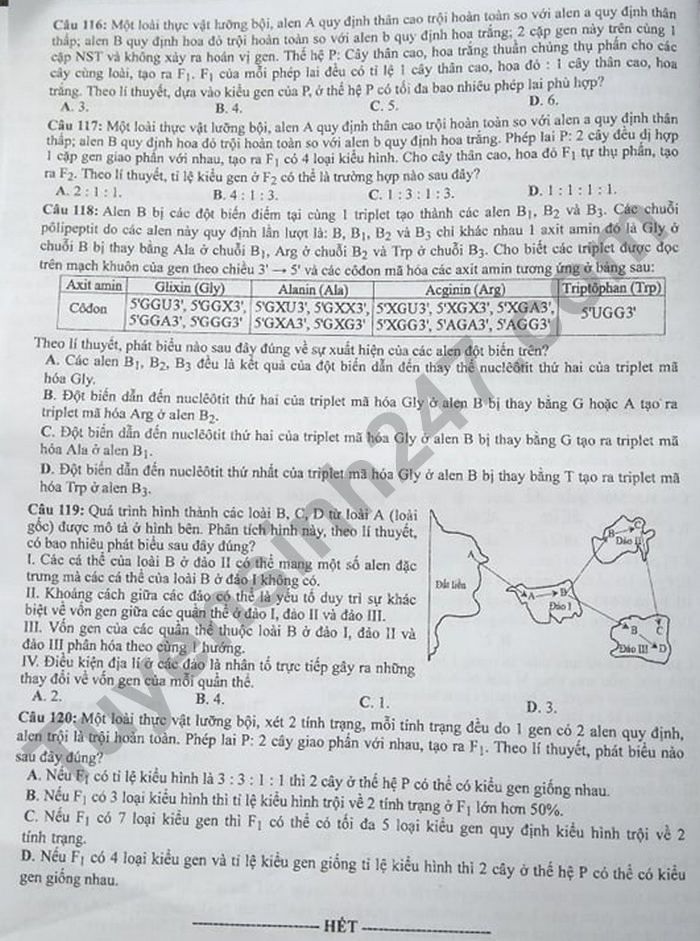 Dap an de thi tot nghiep THPT nam 2021 - mon Sinh ma de 212