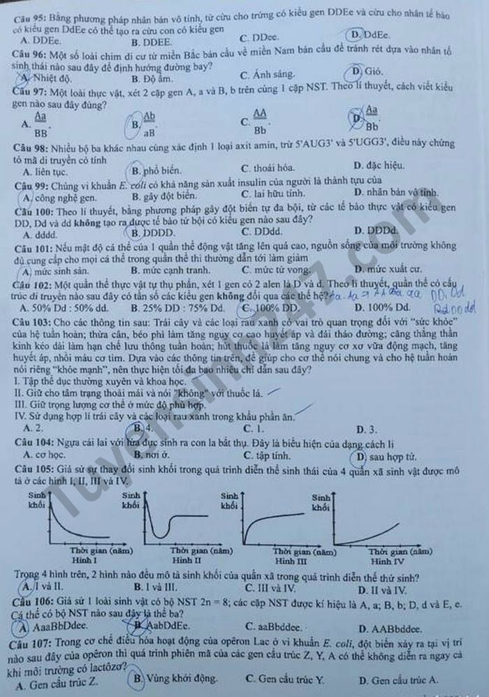 Dap an mon Sinh - Ma de 209 thi tot nghiep THPT 2021