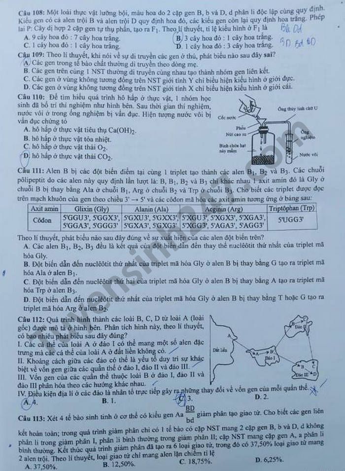 Dap an mon Sinh - Ma de 209 thi tot nghiep THPT 2021